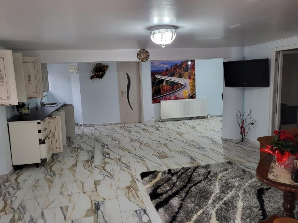 Apartament Cu Terasa Si Gratar Apartment Satu Mare Luaran gambar