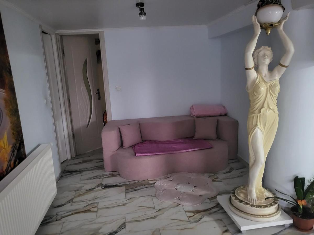 Apartament Cu Terasa Si Gratar Apartment Satu Mare Luaran gambar